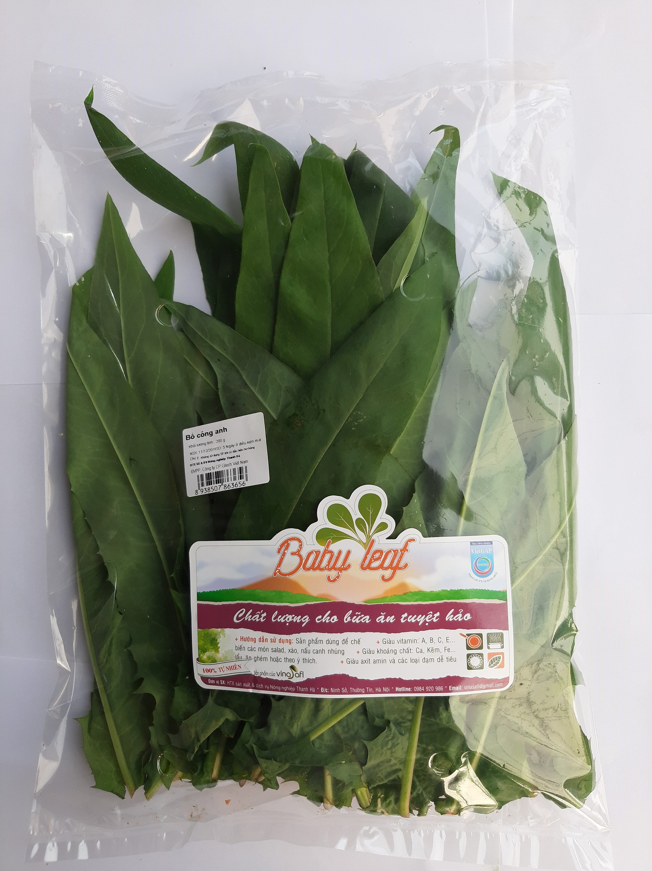 Lá bồ công anh 100g