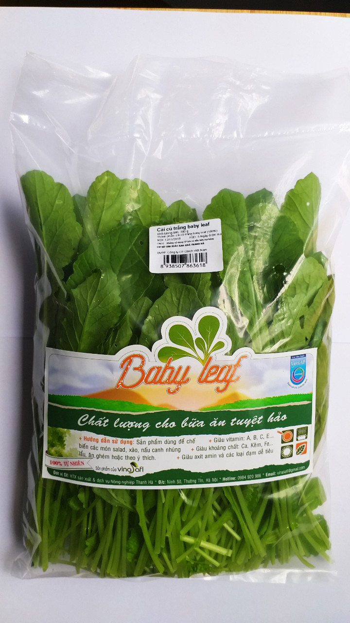 Cải củ trắng babyleaf 