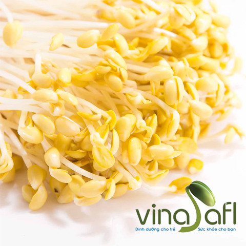 Giá đỗ tương 250g