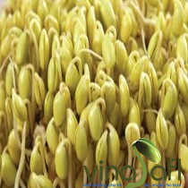 Rau Mầm Đậu Nành 200g