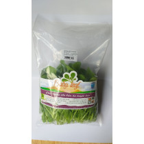 Cải Thìa Xanh babyleaf 200g