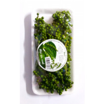 Quả tiêu xanh 100g