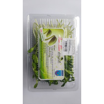 RAU MẦM HƯỚNG DƯƠNG 135g