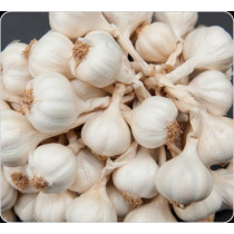 Tỏi Lý Sơn nhiều nhánh 200g