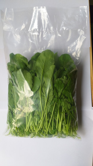 Rau thơm Green Rocket babyleaf 200g